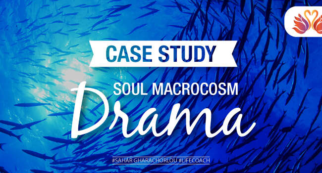 Coach-Sahar-Case Study ~ Soul Macrocosm Drama